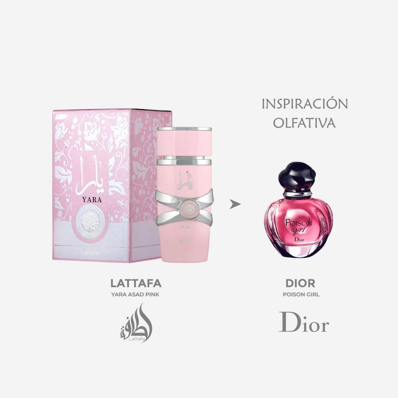 Rosa-YARA - Image 2
